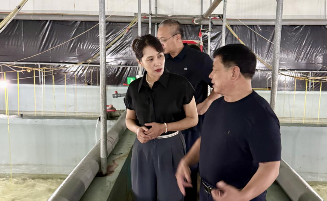 秦皇岛市市场监督管理局分管负责同志前往昌黎县调研指导地理标志证明商标使用情况