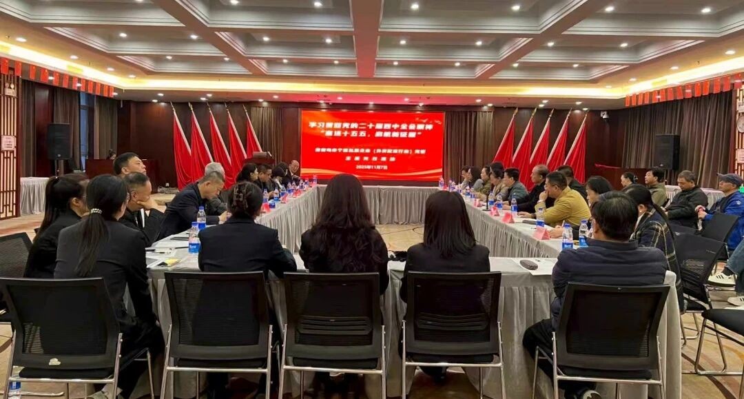 秦皇岛 “小个专” 主题党日活动筑牢发展根基